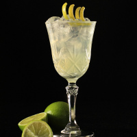 Gin Tumbler